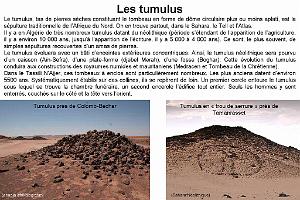 080 ARCHEOLOGIE AERIENNE_000005